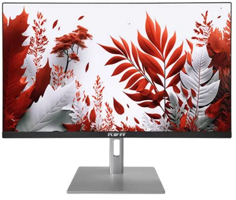 Монитор 23,8" RDW Computers RDW2407 2407K/F14В3120V2A1B черный/серебристый IPS 1ms HDMI M/M HAS Piv 300cd 178гр/178гр 1920x1080 120Hz VGA DP FHD USB ( 23,8"