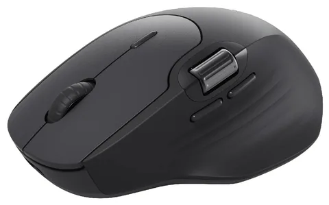 Мышь Wireless Rapoo MT560 черный