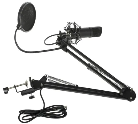 Микрофон Ritmix RDM-180