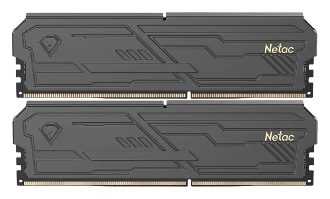 Оперативная память Netac NTSHD4P32DP-64K DDR4 64 ГБ (2×32 ГБ) 3200 МГц