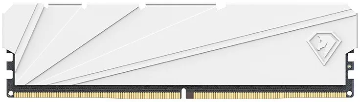 Оперативная память Netac NTSSD4P32SP-16W DDR4 16 ГБ 3200 МГц