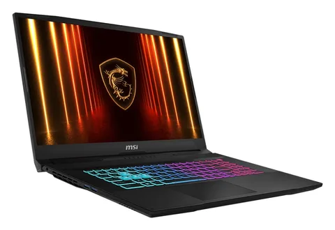 Ноутбук MSI Katana 17 HX B14WFK-275XRU (Core i5-14450HX, 32 ГБ, 1 ТБ SSD)