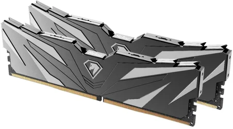 Оперативная память Netac NTSWD4P32DP-32K DDR4 32 ГБ (2×16 ГБ) 3200 МГц