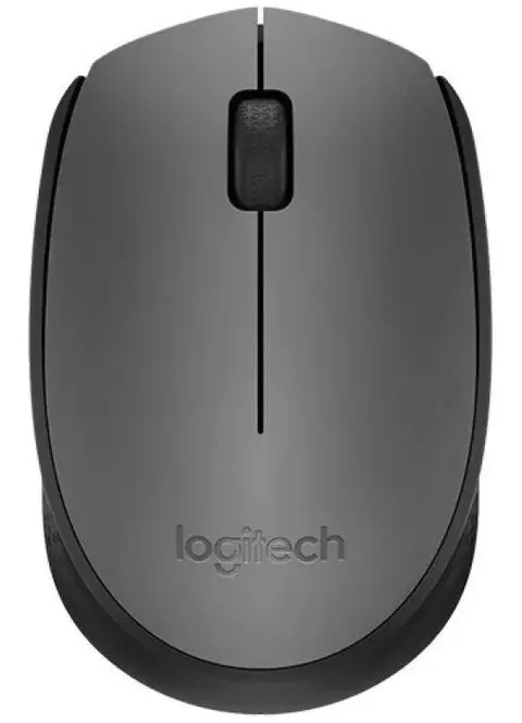Мышь Logitech M170 (910-004646)