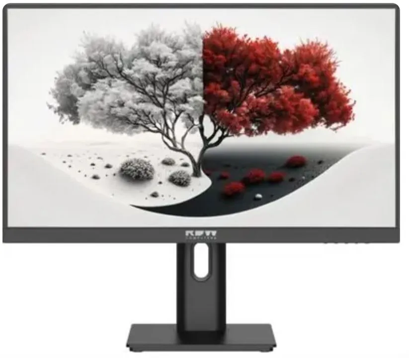 Монитор RDW Computers RDW2401K 23,8"